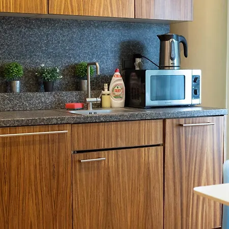 Apartment Royal Whith Free Parking Riga